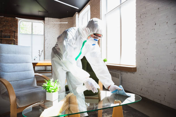 Why You Should Choose Our Mold Remediation Services in Colwich, KS